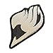Glow Dark GITD Fairy Tail Japanese Manga Anime Embroidered Sew Iron on Patch