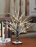 LIGHTSHARE Lighted Snow Dusted Bonsai Tree with 24