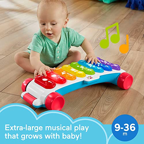FisherPrice Giant LightUp Xylophone, Pretend Musical Instrument
