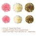 Paxcoo Pink and Gold Birthday Decorations with Birthday Banner Balloons Tissue Flowers Fringe Curtain for Girls 1st Party