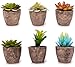 Set of 6 Artificial Succulent Plants – Fake Plants with Grey Ceramic Planters for Decoration