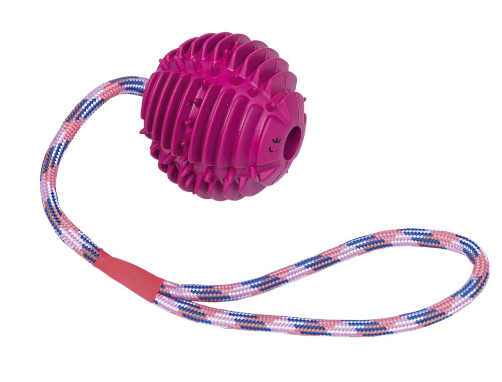 Nobby Solid rubber ball with rope ball: 7.5 cm; rope: 30 cm