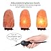 Salt Lamp, SKYROKU Himalayan Crystal Rock Lamp Hand Carved Natural with Wooden Base UL-Approved Cord Dimmer Control and Bulb (1 Pack)