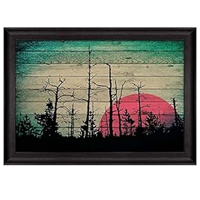 Silhouette of Trees in The Forest with The...