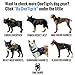 OneTigris Military Adjustable Dog Collar with Metal D Ring & Buckle 2 Sizes (Black, L)