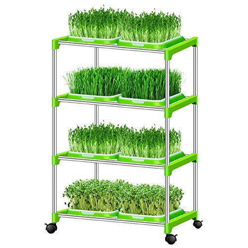 Yamix 2 Pack Two-Tiered Seed Sprouter Tray Kitchen Crop Sprouter Germination Tray (Purple + White) - Thumbnail 5