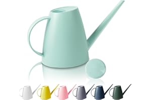 Watering Can for Indoor Outdoor Plants, Modern Small Watering Cans with Removable Nozzle, Long Spout Watering Can for Indoor 