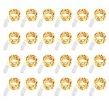 LEDIKON 24 Pack Led Fairy Lights Battery Operated,7.2FT 20LEDs Warm White Copper Wire Firefly Lights,Waterproof LED Mini String Lights for Wedding Party Mason Jars Crafts Christmas Decor