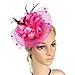 ACTLATI Fascinators Hat for Women Tea Party Headpiece Wedding Cocktail Flower Mesh Feathers Hair Clip 20s Flapper Fascinators
