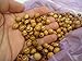 Bethlehem Olive Wood Rosary Beads 8mm oval beads wooden beads ( 60 Beads )