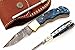 RA-5167-BL Custom made damascus steel folding lock back knife Pukka wood handle and brass bolster,