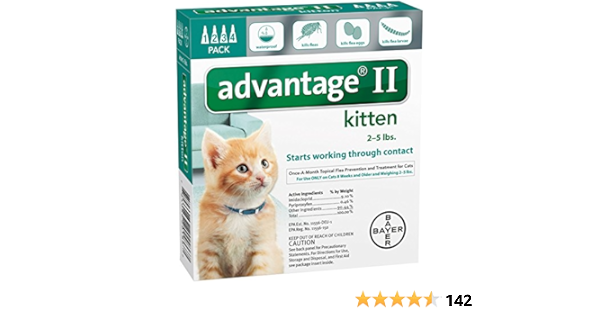 advantage 2 kitten 4 pack