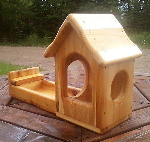 Fence Mount Gallon Glass Jar Squirrel Feeder Cedar Wood Import