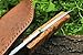 DKC Knives (17 5/18) Sale DKC-85 Tomcat Damascus Skinner Hunting Knife 9