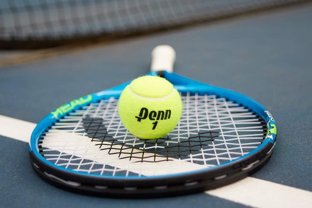 Penn Championship Tennis Balls - Extra Duty Felt Pressurized Tennis Balls - (2 Cans, 6 Balls) : Sports & Outdoors