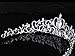 CJESLNA Wedding Prom Engagement Party Bridal Bridesmaid Flower Rhinestone Crown Tiara 11.42