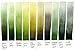 Daniel Smith Extra Fine Watercolor Paint, 15ml Tube, Rare Green Earth, 284600181, 0.5 Fl Oz (Pack of 1)