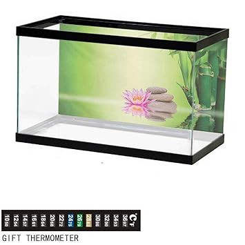 Amazon Com Wwwhsl Aquarium Background Spa Zen Garden Asian