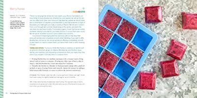 big book of organic baby food