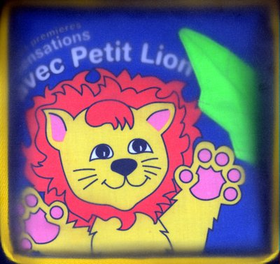 Mes premières sensations avec Petit Lion