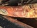 4 Directions Bushcraft Fatwood Pine Lighter Missouri Harvested Natural Waterproof fire Starting Pine Tinder Raw unprocessed