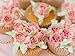 Acacia Place Russian Piping Tips Large Flower Cake/Cupcake Stainless Steel Decorating Icing Nozzles with Reusable Silicone Pastry Bag 8pc Set Plus Bonus Leaf Tip