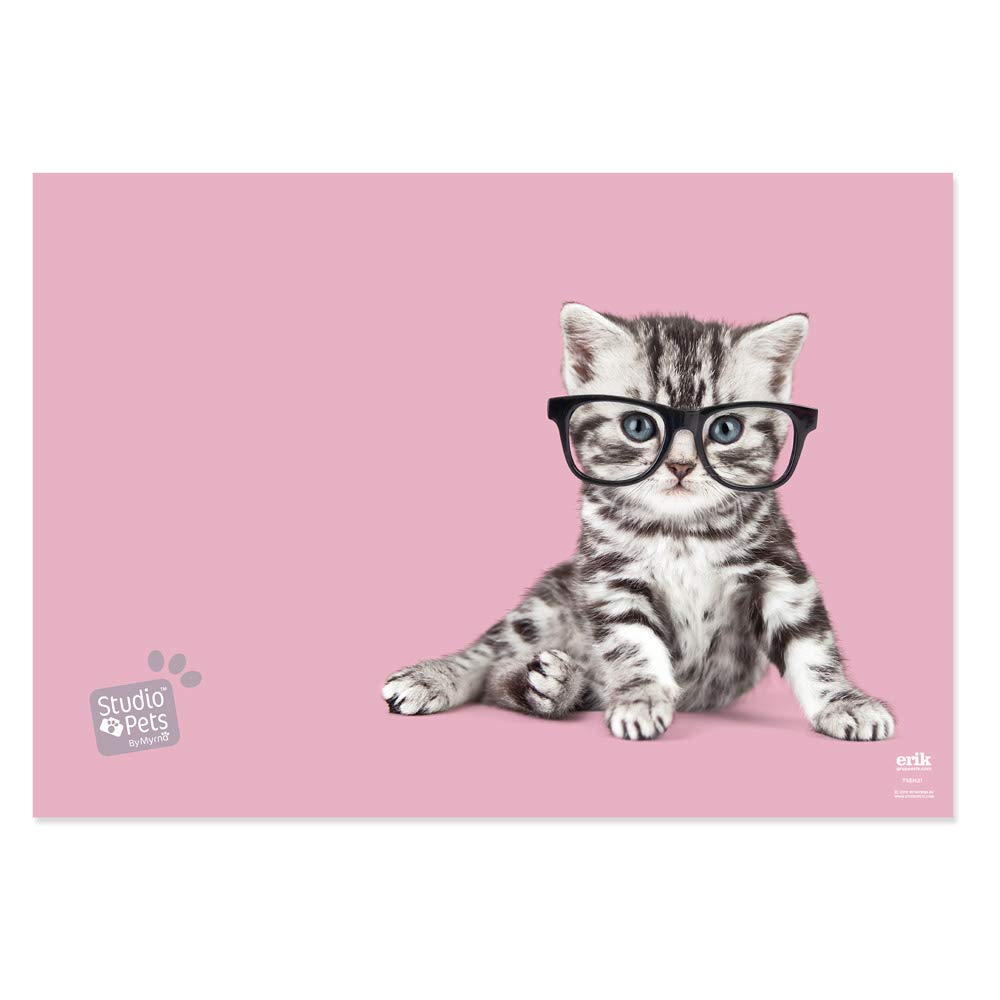 Grupo Erik Studio Pets Cats 2019 Desk Mat | Desk Decor | 13.5 x 19.5 Inch - 34.5 x 49.5 cm | Desk Pad | Desk Protector Mat | Cute Stationery | Back To School Supplies