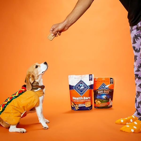 BLUE BUFFALO HEALTH BARS CRUNCHY DOG BISCUITS, OVEN-BAKED WITH NATURAL INGREDIENTS, PUMPKIN & CINNAMON, 16-OZ BAG