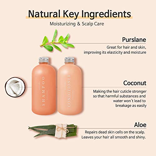 Formula of Beauty Korean Shampoo and Conditioner All Natural Shampoo