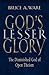God's Lesser Glory: The Diminished God of Open Theism