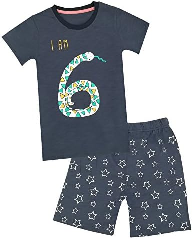Kid Boys' Color Changeable Outfit Set Animal Figures 6th Birthdays Gift Shirt with Shorts (6T)