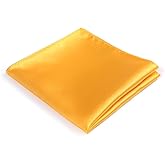 fortunatever Mens Solid Satin Mens Tie With Hanky,Handmade Neckties For Men