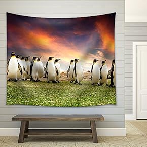 King Penguins in The Falkland Islands - Fabric Wall Tapestry Home Decor - 51x60 inches