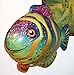 COLORFUL FISH 33