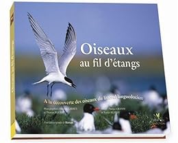 Oiseaux au fil d'étangs