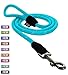 Pawtitas 6FT Training Dog Leash Durable Medium Rope Leash for Dogs Premium Quality Heavy Duty Rope Lead Strong and Comfortable - Teal Puppy Leash