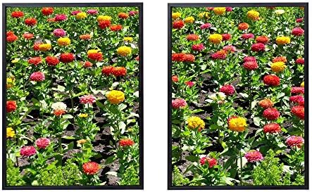 50x70cm X2枚 ライト高級 クリスタル磁器の装飾画 黒アルミ合金フレーム ジニア花花壇緑日当たりの良いカラフル アートパネル 壁掛け絵画 インテリアアート 現代 壁飾り 部屋飾り 壁ポスター 絵画 玄関 おしゃれ モダン 壁掛け Bahramradan Com