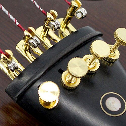 image for TLY Solid Wood Professional Acoustic Violin 100% Handmade Varnished Na