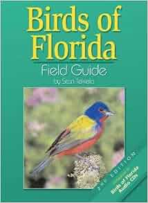 Birds Of Florida Field Guide: Stan Tekiela: 9781591931058: Amazon.com ...