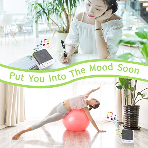 HENSUN White Noise Sound Machine, 17 Non-Looping Natural Sounds| 7 LED Night Lights| Plug in Adapter| Portable Sleep Sound Therapy Maker with Timer & USB Output for Home Office or Travel