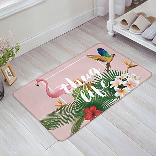 Mat for Indoor/outdoor Use, 18x30 inch, Low Profile Door Mat for Front Door Home Entrance outside Doormat Shoes Scraper Mud Trapper Rug Carpet,flamingo、thug live、Macaw