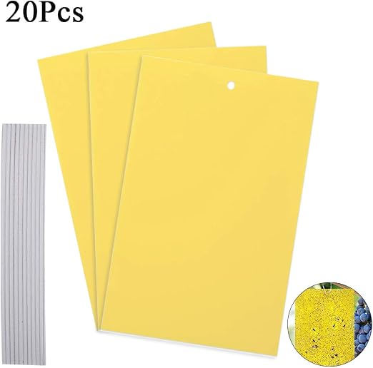 ManLee 20pcs Trampas Pegajosas para Insectos Bifacial Trampas de ...