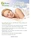 Ultimate Essence of Bamboo Pillow - with Premium Bamboo Derived Rayon/Poly Cover and USA Made Hypoallergenic Down Alternative Poly Fiber Fill