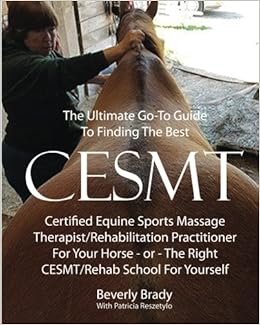 The Ultimate Go To Guide To Finding The Best Cesmt