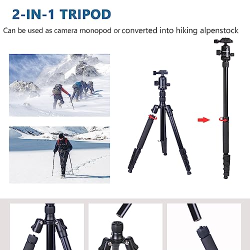Tripod for Camera, Regetek 75" Camera Tripod Stand, 75 inches DSLR