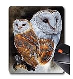 AOFFLY Barbara Keith - Lustrous Two Owls Animal