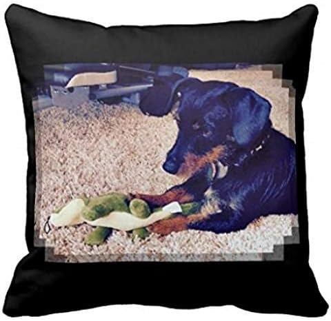 Miles Hobie Dachshund X R768bdd2dfc7f4256bf29aa9df2397ca7 I52ni 8byvr Pillow Case