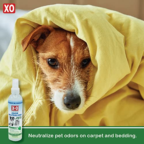 XO Odor Commercial Strength ReadytoUse Odor Eliminator