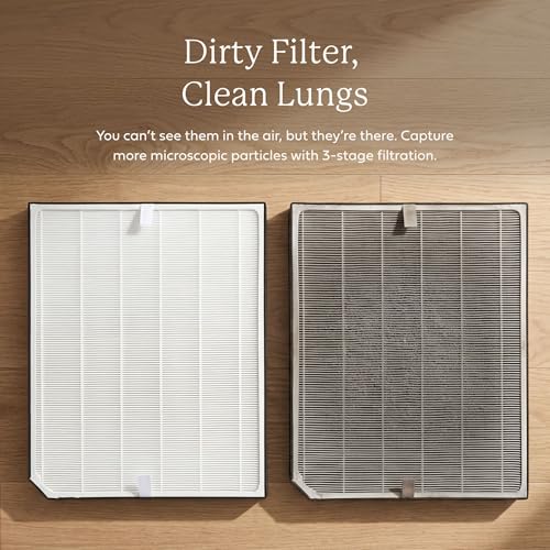 Genuine AirDoctor AD3000/3500 Replacement Filter. Includes 1 UltraHEPA filter. Guaranteed Quality & Performance. Removes Smoke, Pollen, Dust, Pet Dander