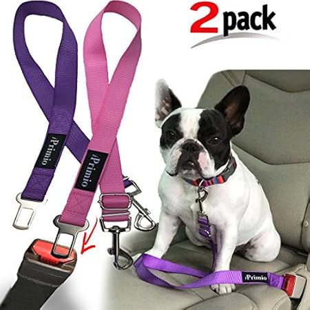 dog leash safety clip